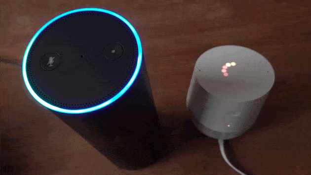 User Input and Amazon Echo